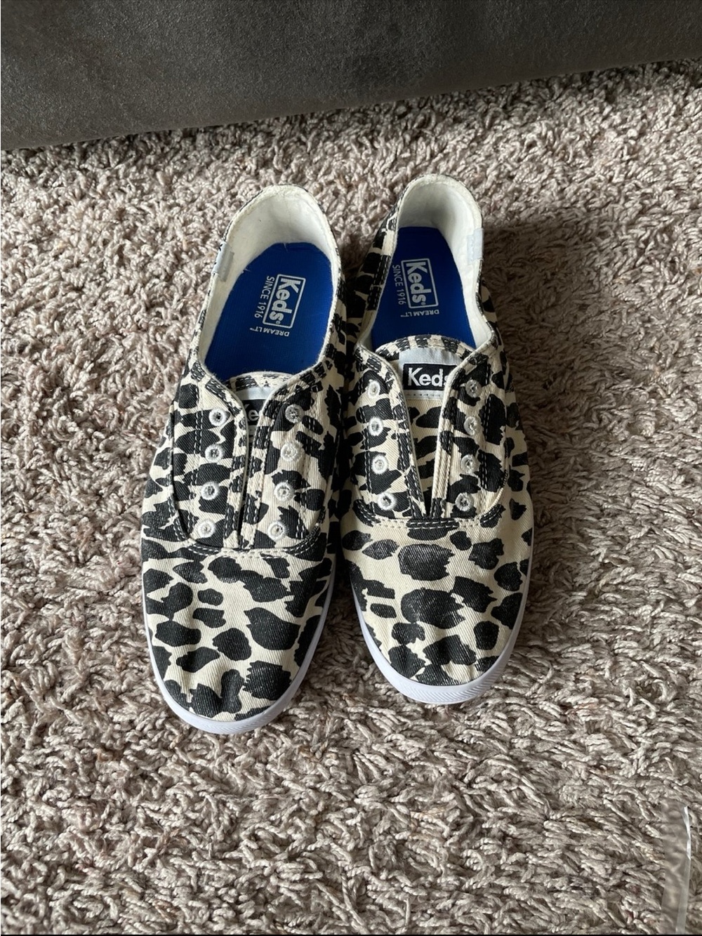 Keds Slip-On Sneakers in Black and Cream Leopard